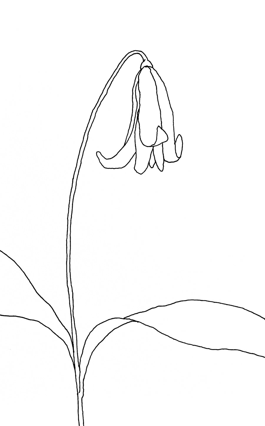 Le printemps