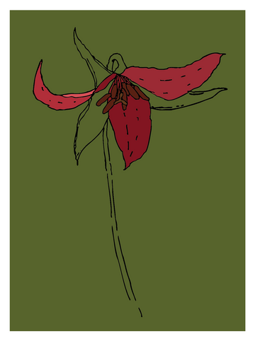 Trillium