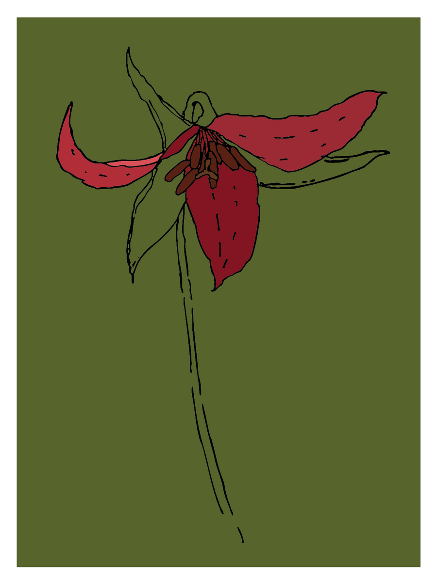 Trillium